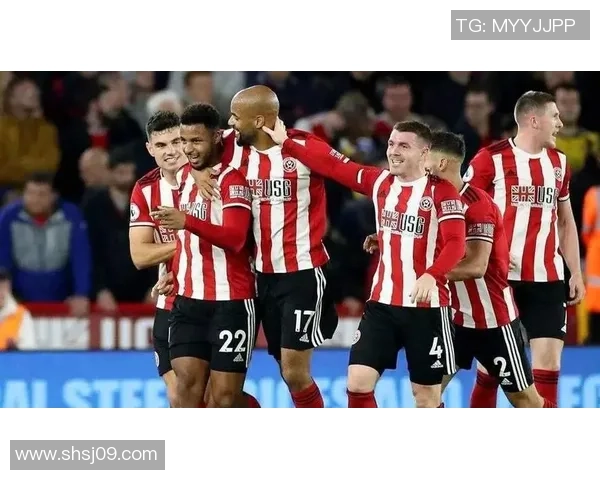 西布朗维奇对阵谢菲联的精彩对决分析与赛前预测